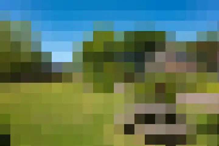 Prins Clausplantsoen 41 Assen thumbnail 46