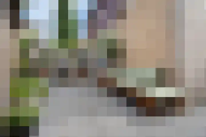 Prins Clausplein 4 Moordrecht thumbnail 41