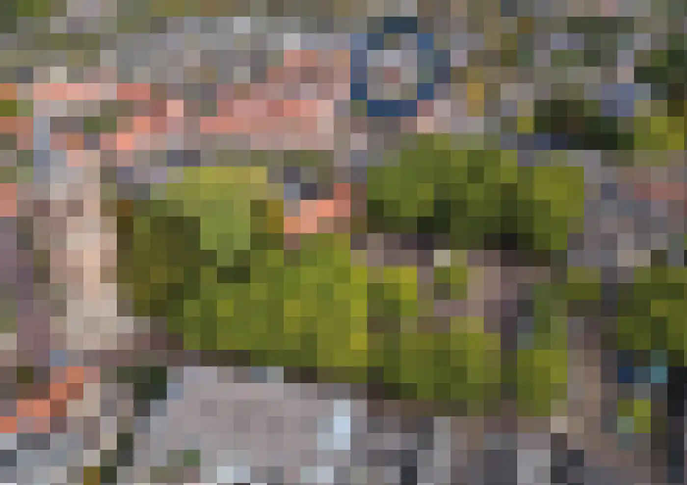 Prins Clausstraat 1 b Houten thumbnail 4