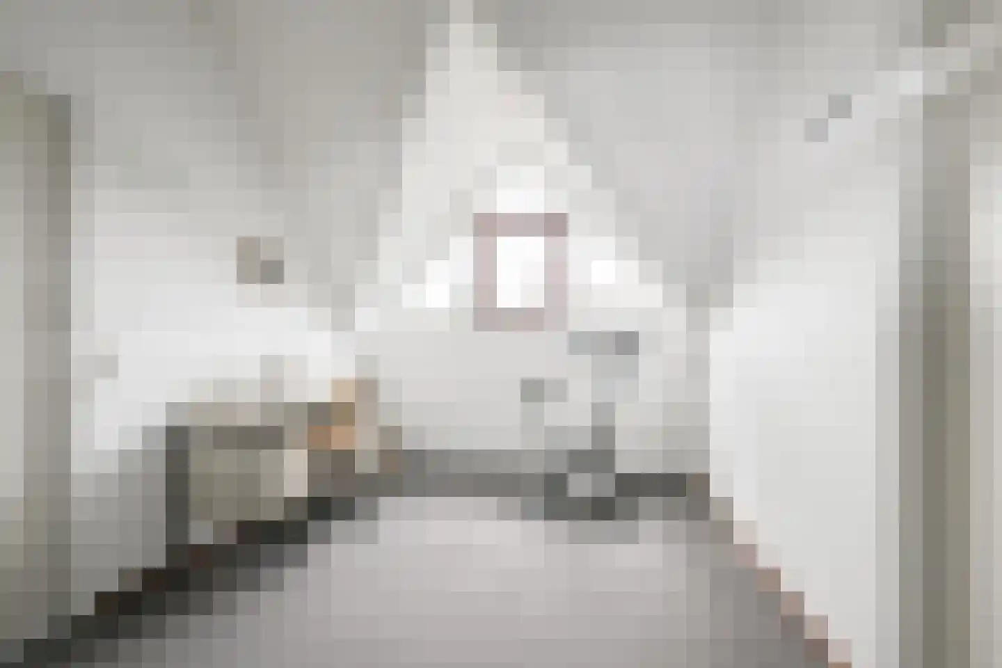 Prins Clausstraat 1 Varsseveld thumbnail 32