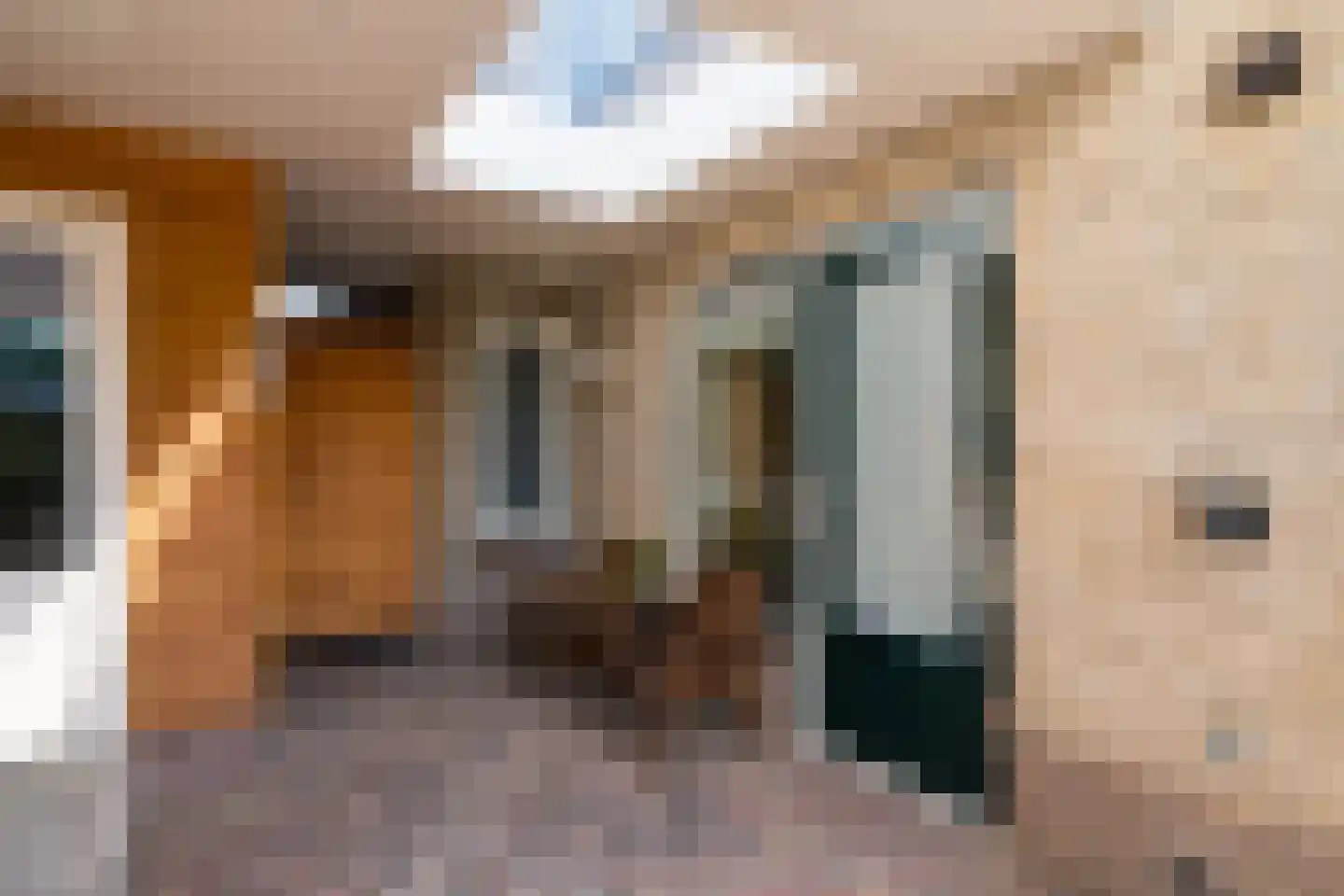 Prins Clausstraat 1 Varsseveld thumbnail 39