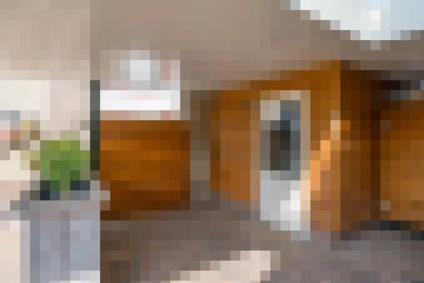 Prins Clausstraat 1 Varsseveld thumbnail 40