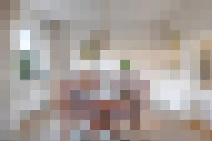 Prins Clausstraat 1 Wehl thumbnail 13