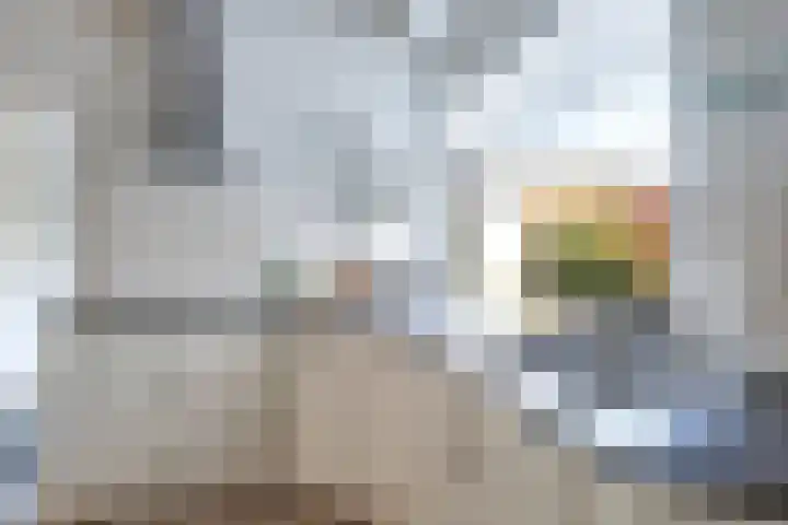 Prins Clausstraat 1 Wehl thumbnail 29