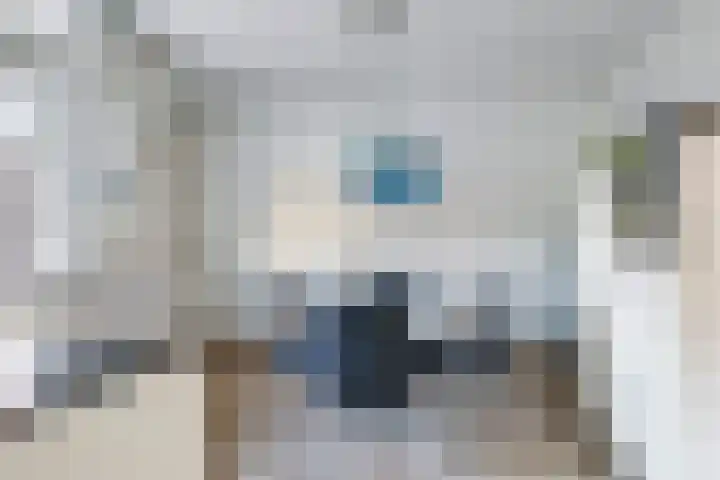 Prins Clausstraat 1 Wehl thumbnail 32