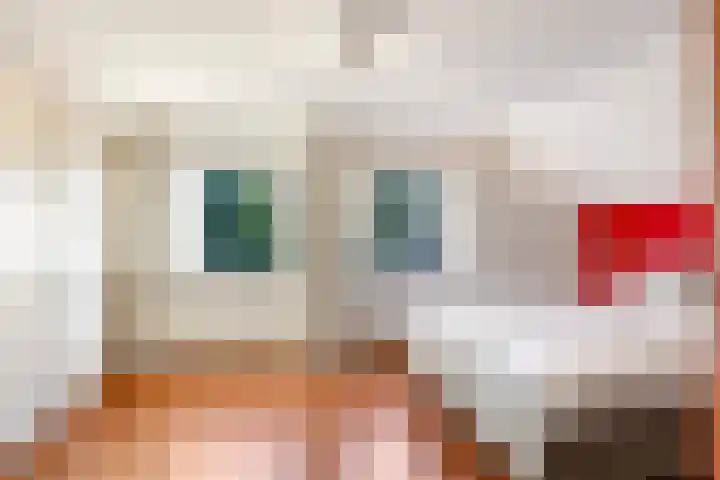 Prins Clausstraat 1 Wehl thumbnail 42