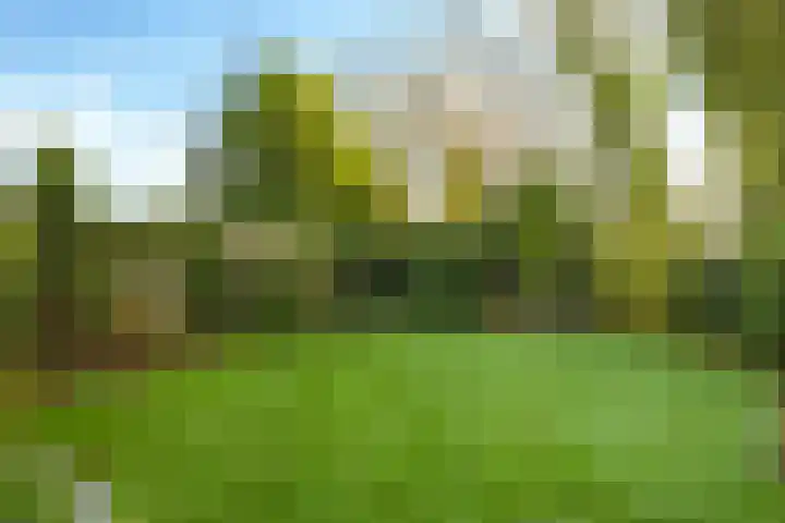 Prins Clausstraat 1 Wehl thumbnail 63