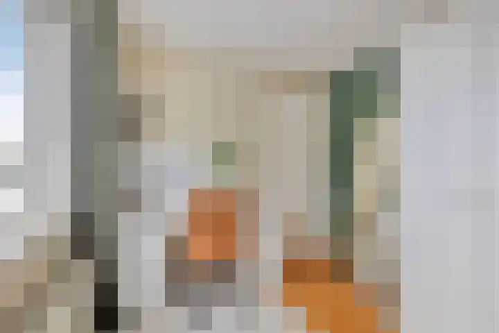 Prins Clausstraat 11 Benthuizen thumbnail 28