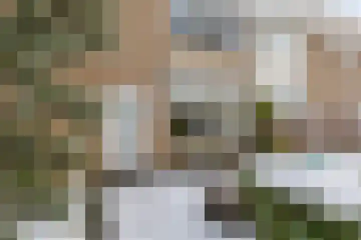 Prins Clausstraat 11 Benthuizen thumbnail 7