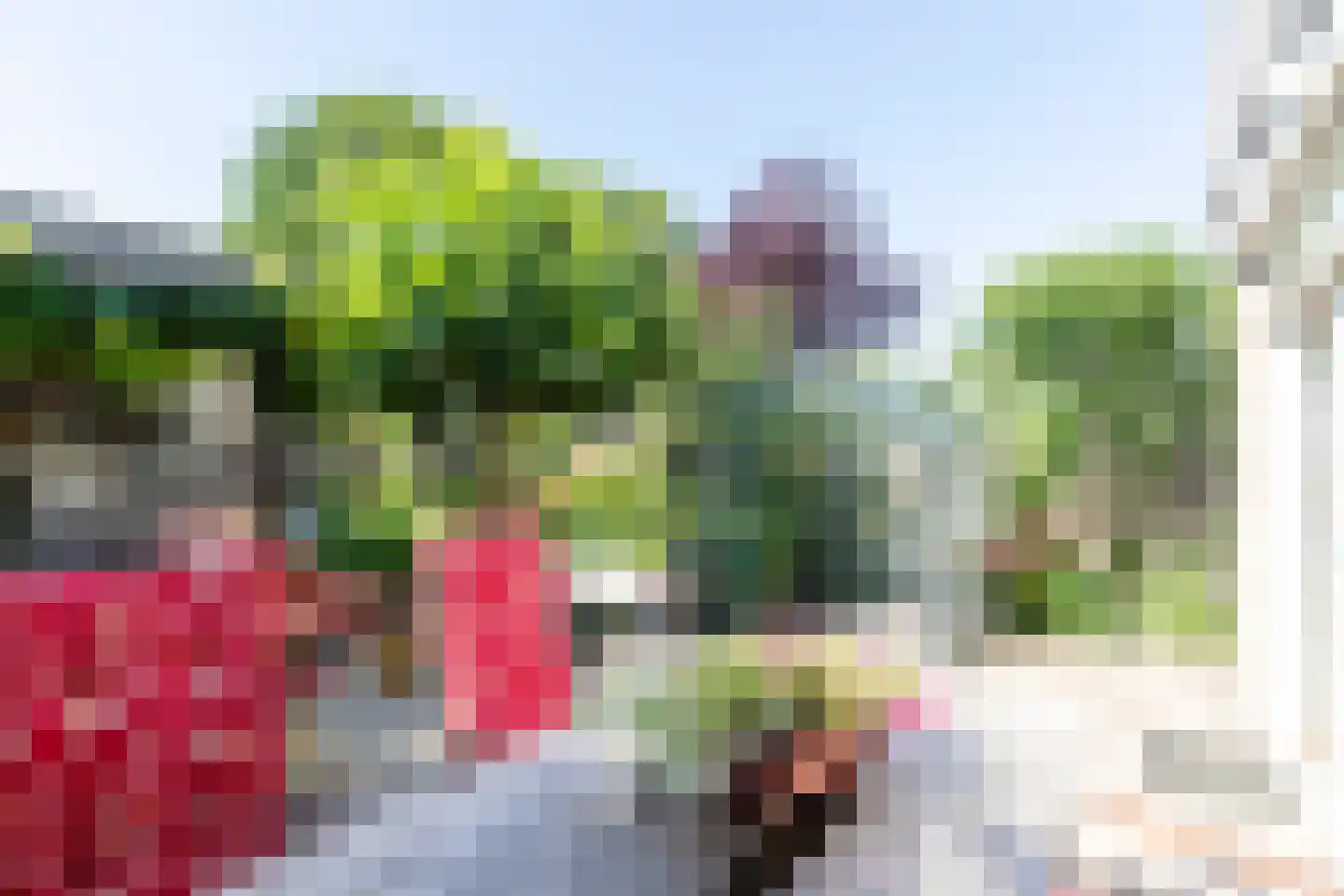 Prins Clausstraat 11 's-Gravenzande thumbnail 16