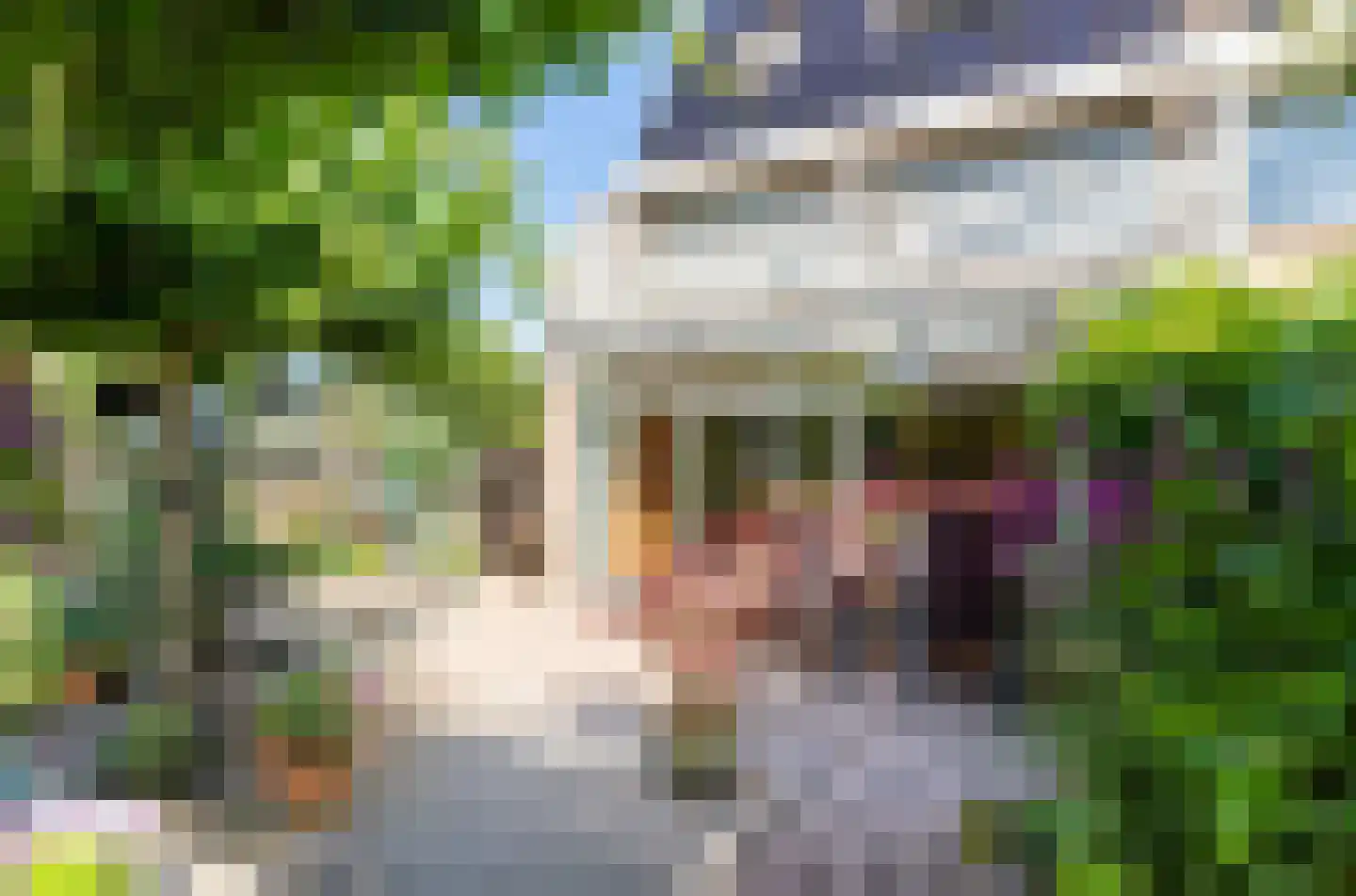 Prins Clausstraat 11 's-Gravenzande thumbnail 4