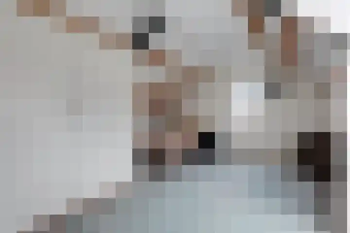 Prins Clausstraat 11 Velp thumbnail 16