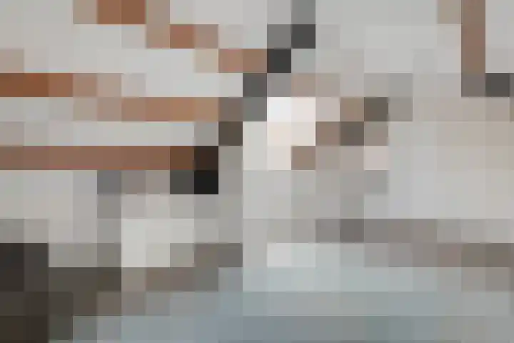 Prins Clausstraat 11 Velp thumbnail 17