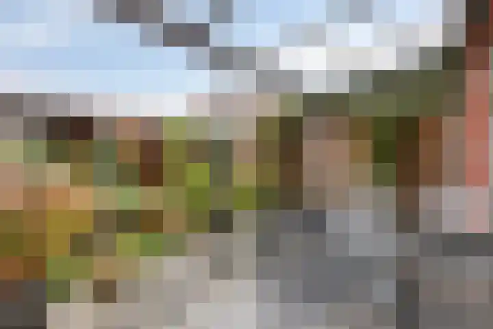 Prins Clausstraat 11 Velp thumbnail 18