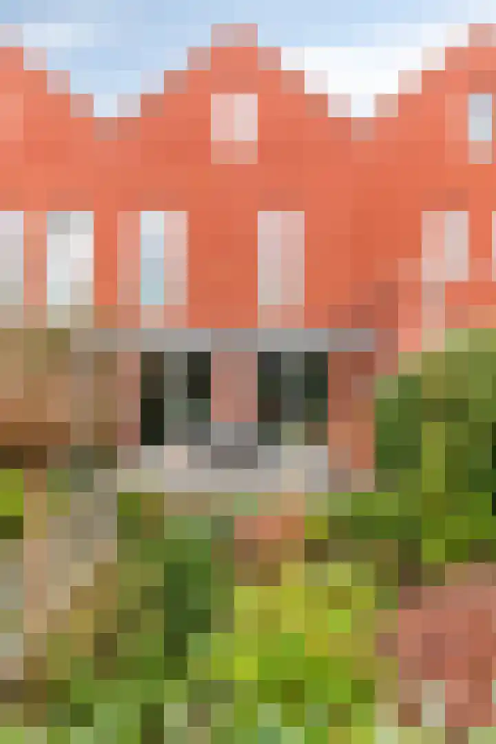 Prins Clausstraat 11 Velp thumbnail 21
