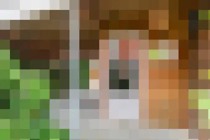 Prins Clausstraat 11 Velp thumbnail 22