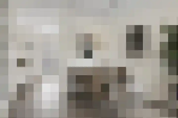 Prins Clausstraat 11 Velp thumbnail 4