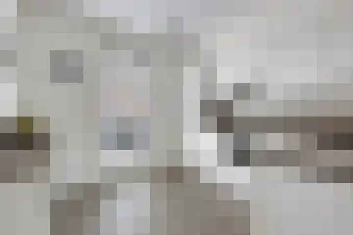 Prins Clausstraat 11 Velp thumbnail 5