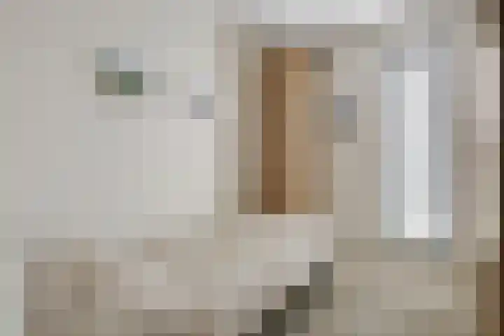 Prins Clausstraat 11 Velp thumbnail 8