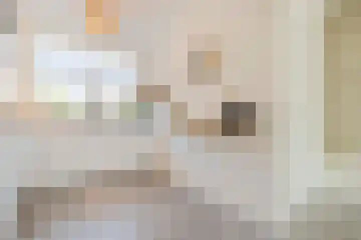 Prins Clausstraat 12 Oosterhout thumbnail 12