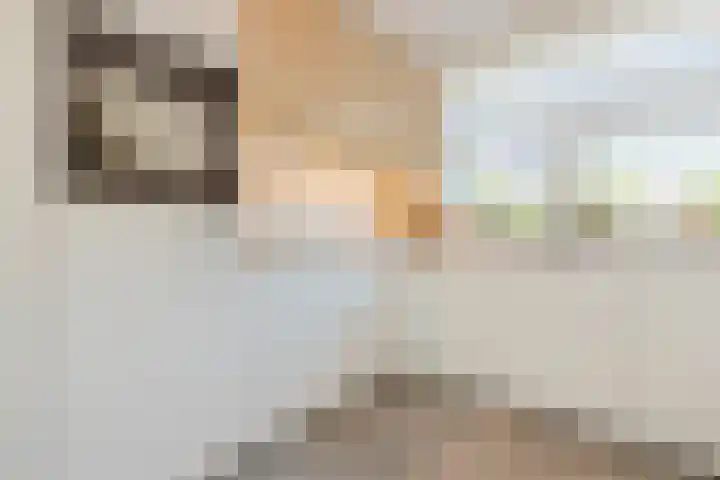 Prins Clausstraat 12 Oosterhout thumbnail 13