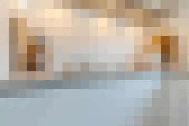 Prins Clausstraat 12 Oosterhout thumbnail 15