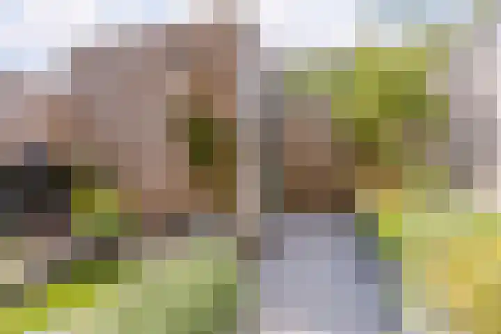 Prins Clausstraat 12 Oosterhout thumbnail 33