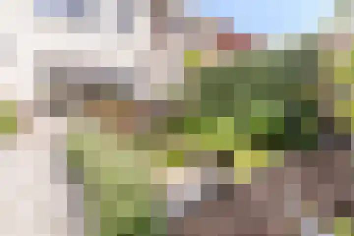 Prins Clausstraat 12 Oosterhout thumbnail 35