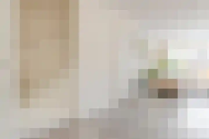 Prins Clausstraat 12 Oosterhout thumbnail 8