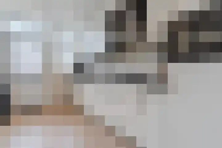 Prins Clausstraat 124 Vroomshoop thumbnail 13