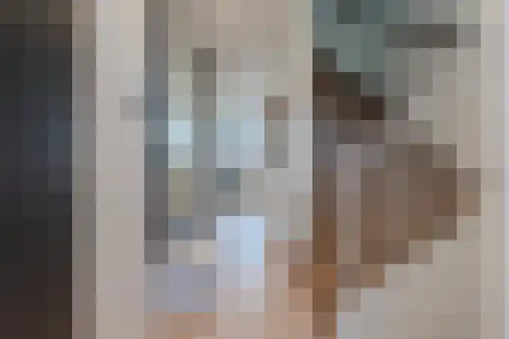 Prins Clausstraat 124 Vroomshoop thumbnail 16