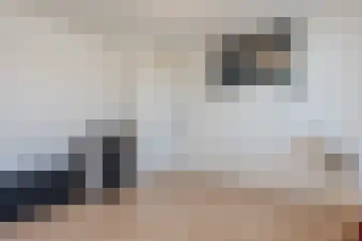 Prins Clausstraat 124 Vroomshoop thumbnail 21