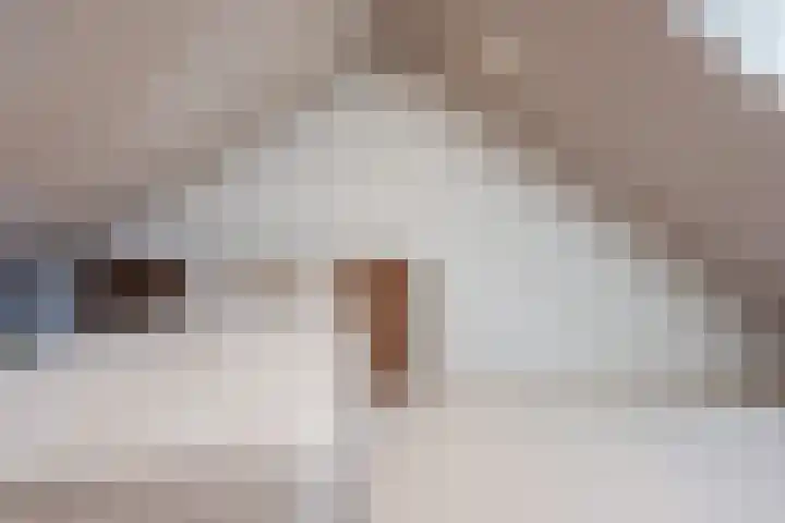 Prins Clausstraat 124 Vroomshoop thumbnail 27