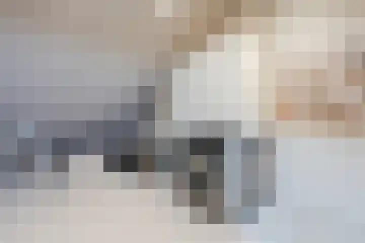 Prins Clausstraat 124 Vroomshoop thumbnail 29