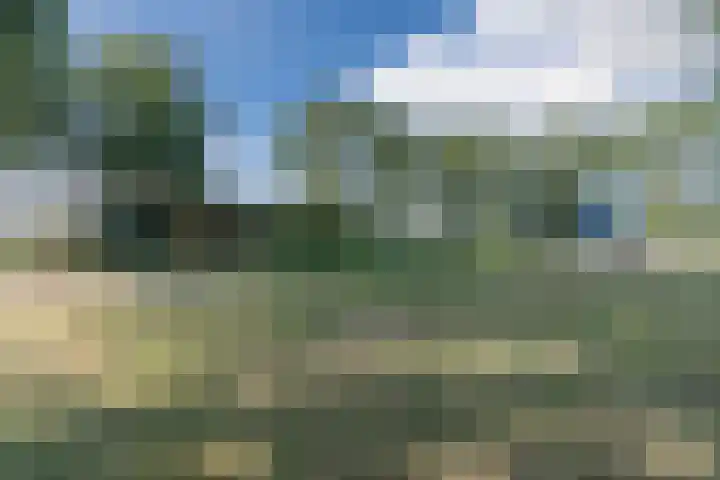 Prins Clausstraat 124 Vroomshoop thumbnail 37