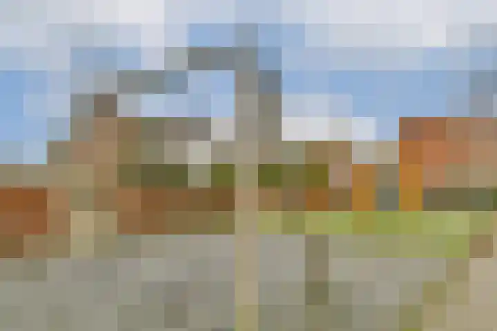 Prins Clausstraat 13 Sassenheim thumbnail 26