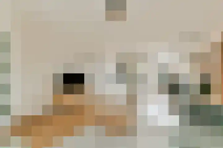 Prins Clausstraat 13 Sassenheim thumbnail 5