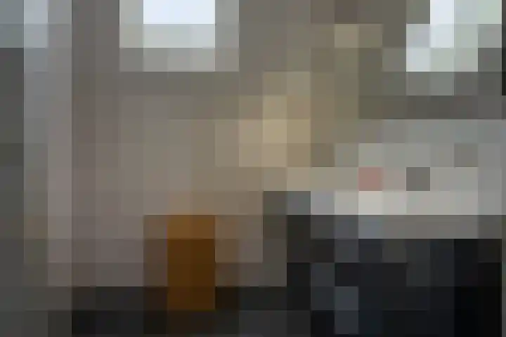 Prins Clausstraat 13 Zaltbommel thumbnail 33