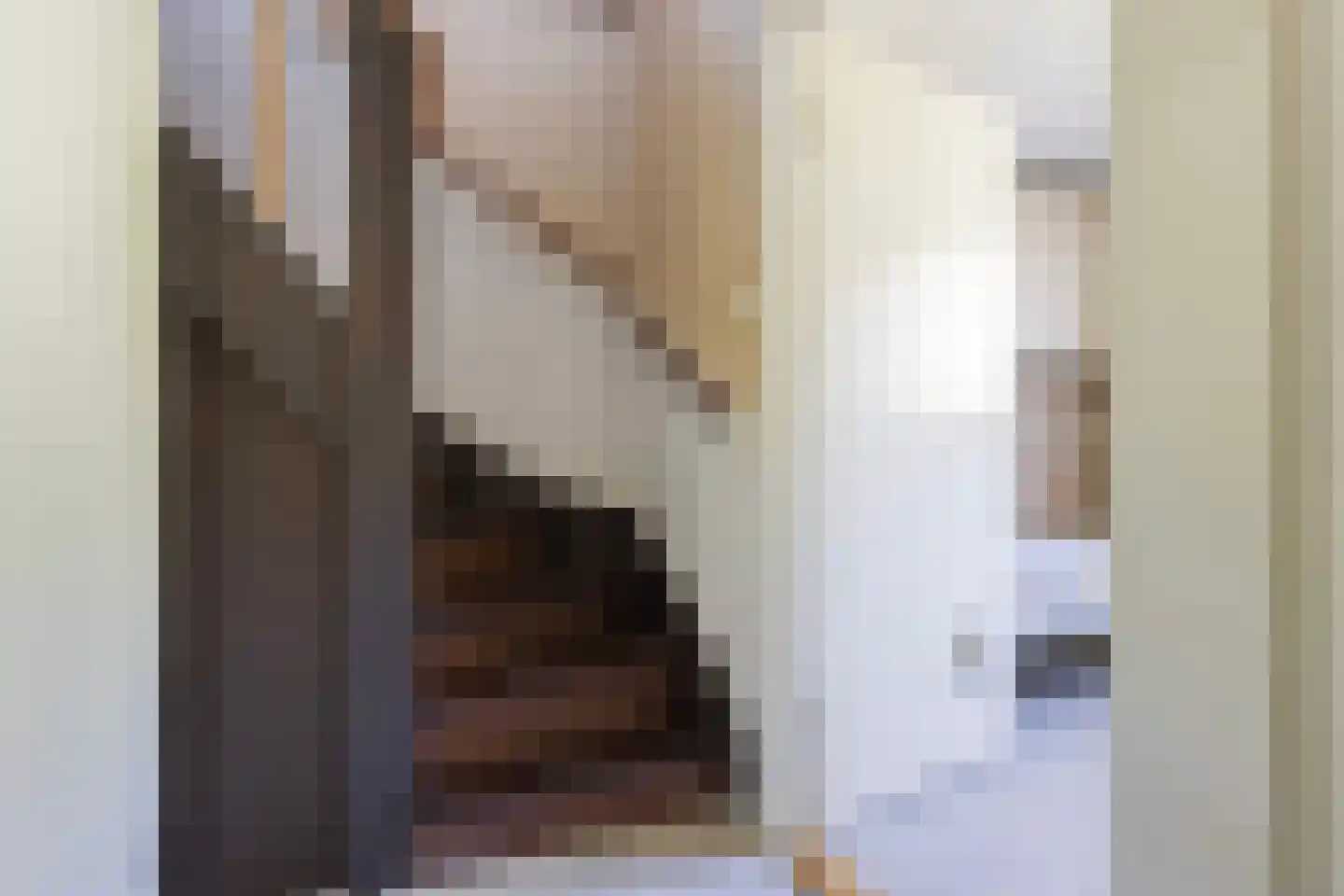 Prins Clausstraat 14 Vaassen thumbnail 18