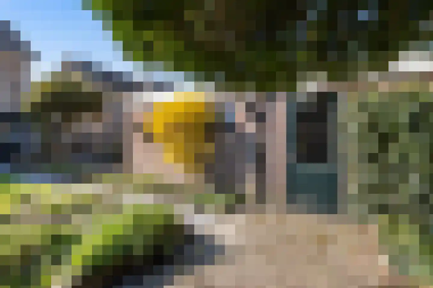 Prins Clausstraat 14 Vaassen thumbnail 29