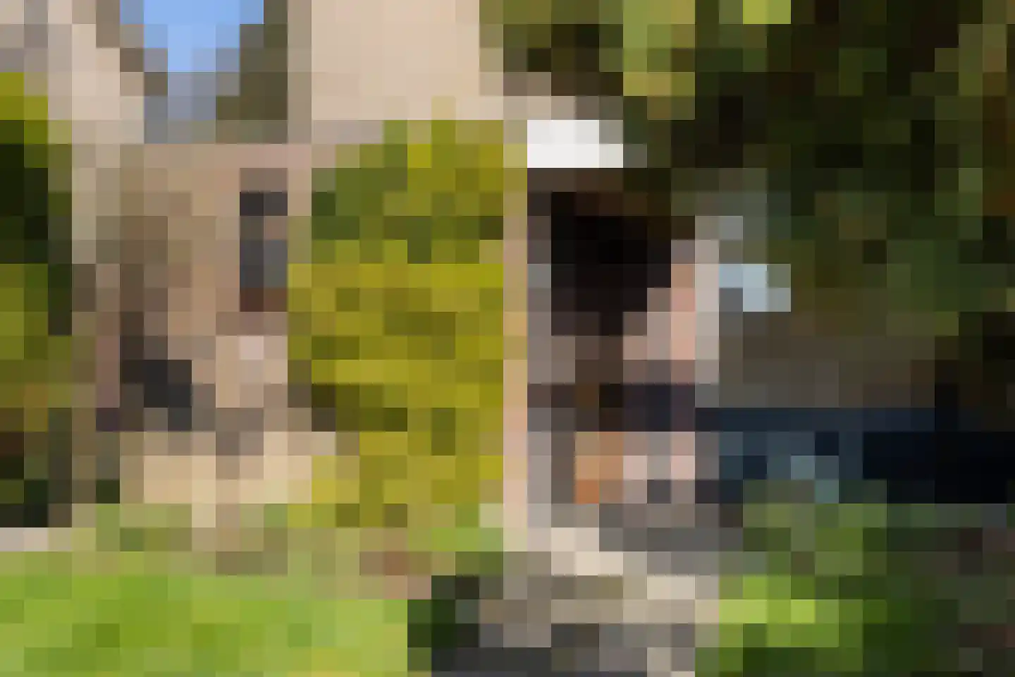 Prins Clausstraat 14 Vaassen thumbnail 4