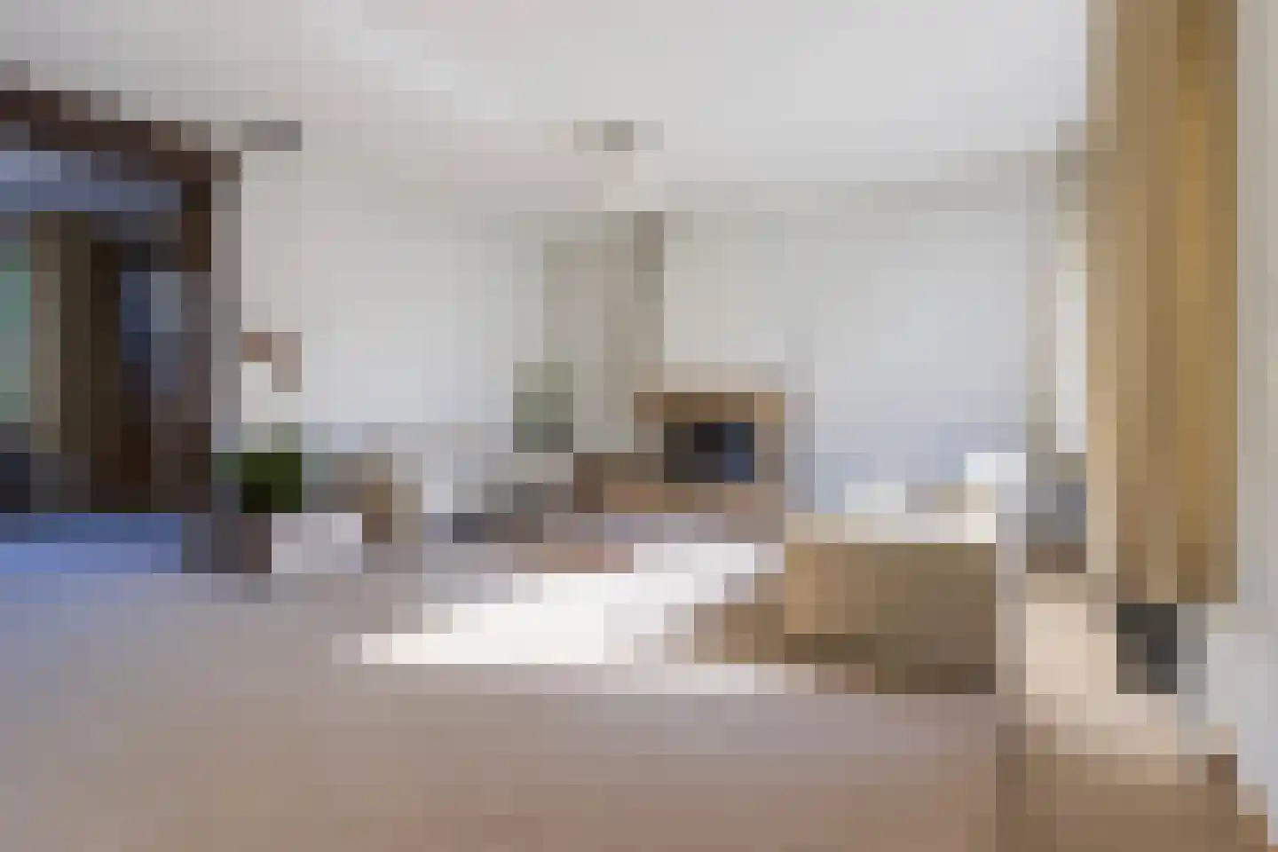 Prins Clausstraat 14 Vaassen thumbnail 8