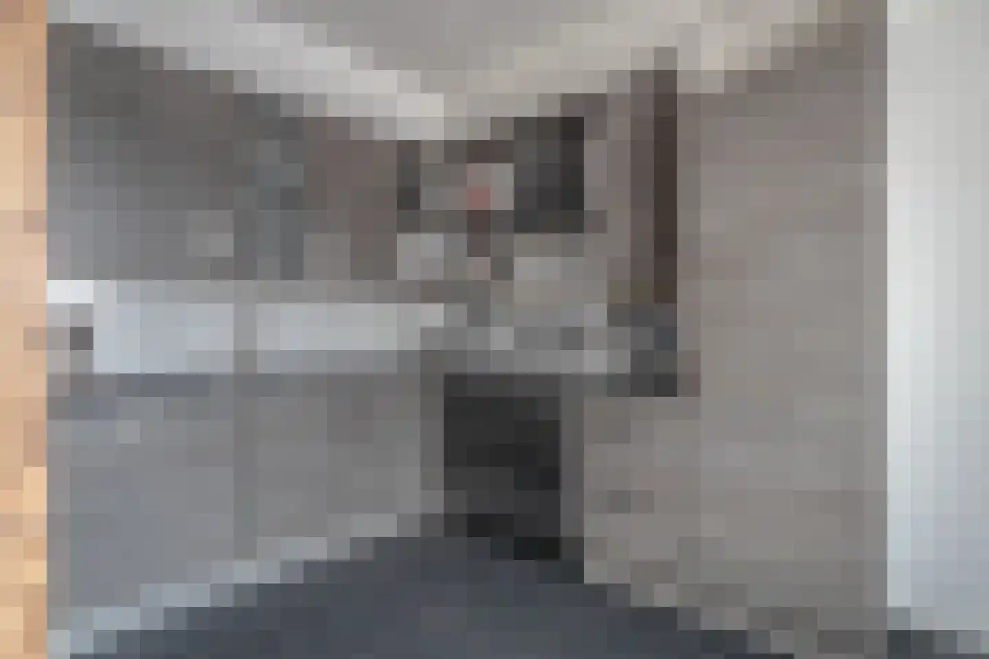 Prins Clausstraat 15 Smilde thumbnail 12
