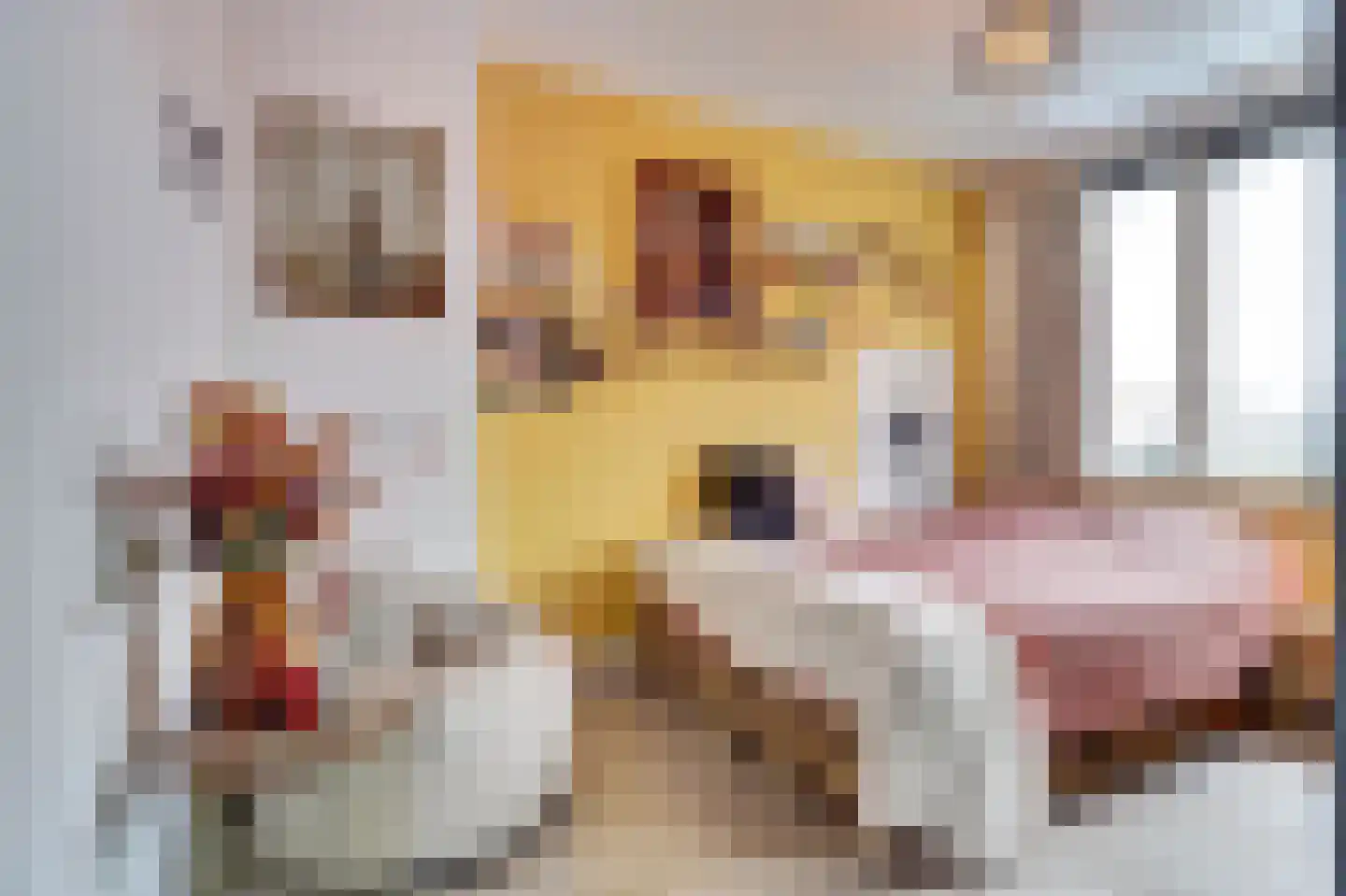 Prins Clausstraat 16 Bladel thumbnail 26