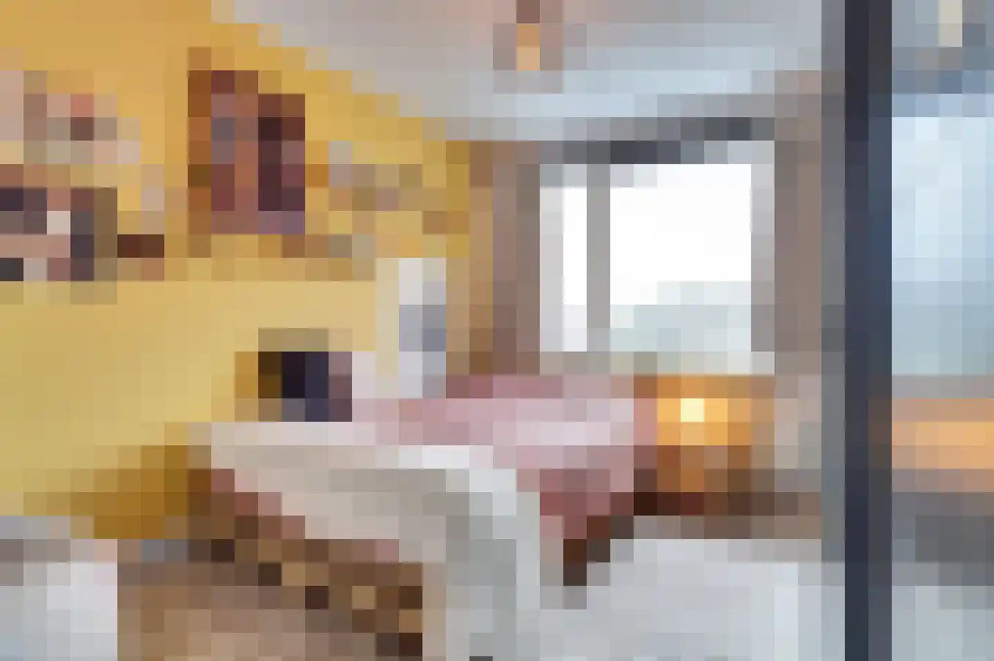 Prins Clausstraat 16 Bladel thumbnail 27