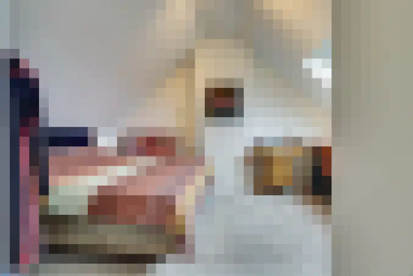 Prins Clausstraat 16 Bladel thumbnail 35