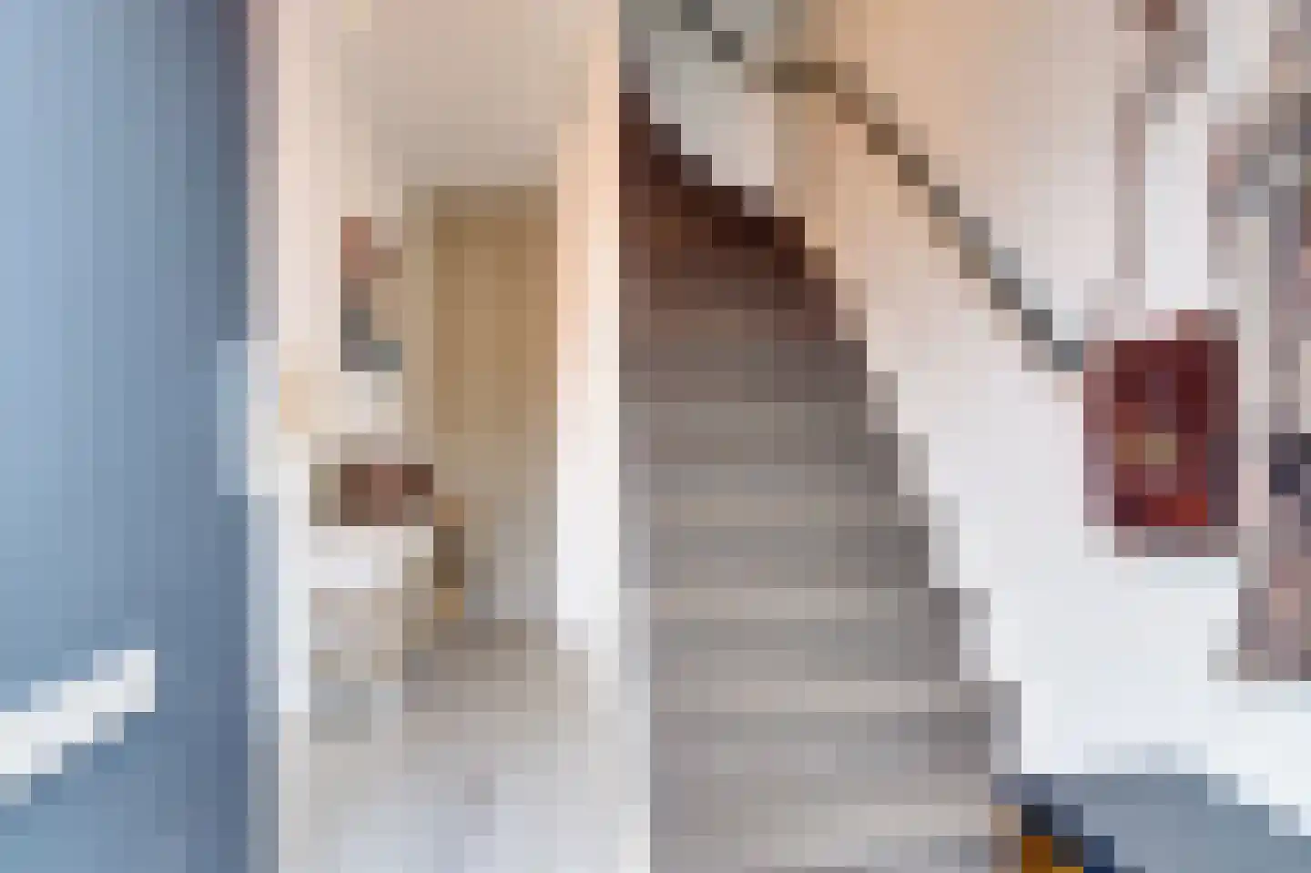 Prins Clausstraat 16 Bladel thumbnail 5