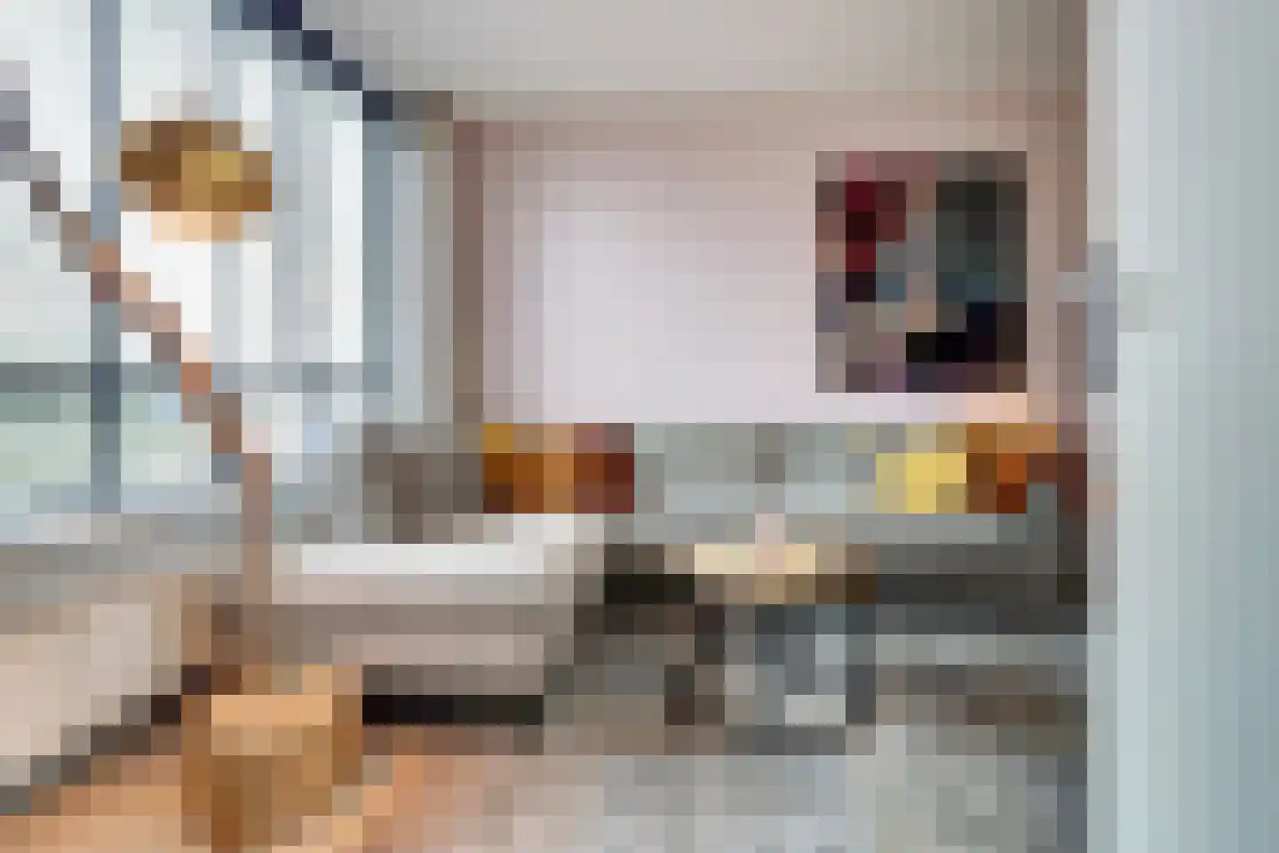 Prins Clausstraat 16 Bladel thumbnail 7