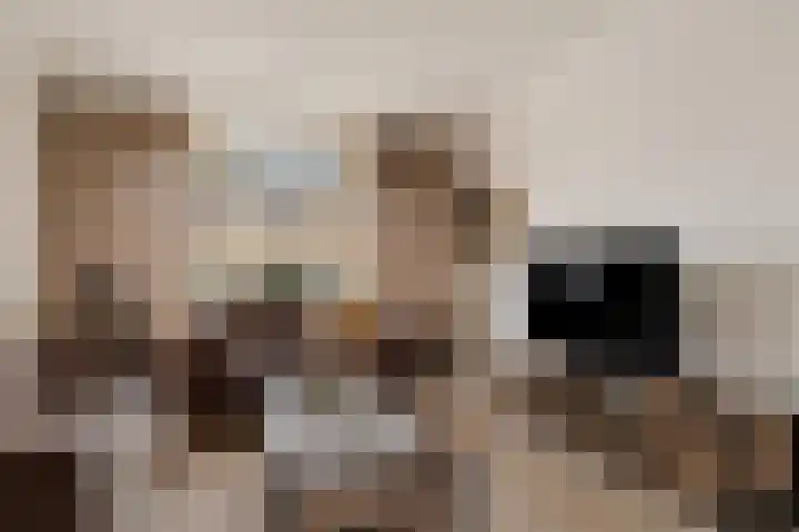 Prins Clausstraat 17 Genemuiden thumbnail 13
