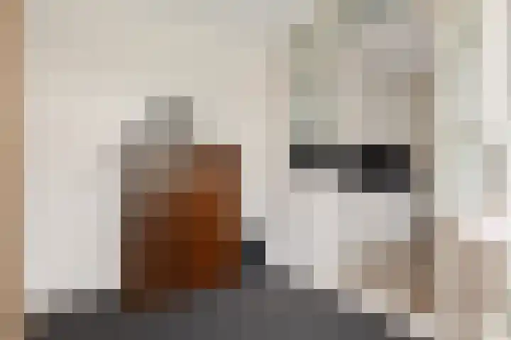 Prins Clausstraat 17 Genemuiden thumbnail 19